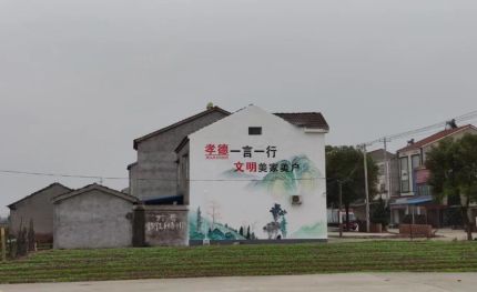 瑞安新农村墙绘